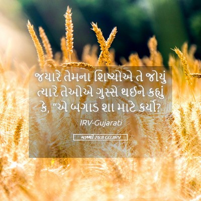 Picture 05 - માથ્થી 26:8 GUJIRV - જયારે તેમના - Bible Verse Picture
