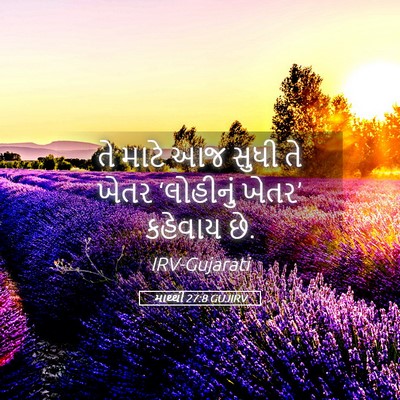 Picture 05 - માથ્થી 27:8 GUJIRV - તે માટે આજ સુધી તે - Bible Verse Picture