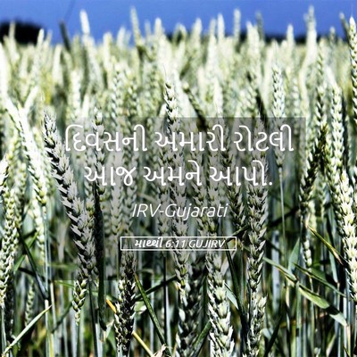 Picture 05 - માથ્થી 6:11 GUJIRV - દિવસની અમારી - Bible Verse Picture