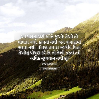 Picture 05 - માથ્થી 6:26 GUJIRV - આકાશના પક્ષીઓને - Bible Verse Picture