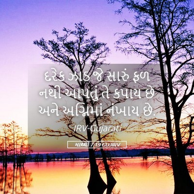 Picture 05 - માથ્થી 7:19 GUJIRV - દરેક ઝાડ જે સારું - Bible Verse Picture