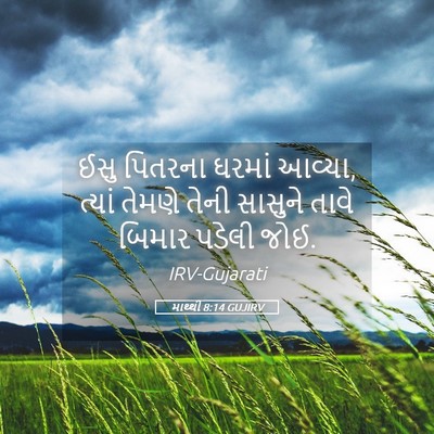 Picture 05 - માથ્થી 8:14 GUJIRV - ઈસુ પિતરના ઘરમાં - Bible Verse Picture
