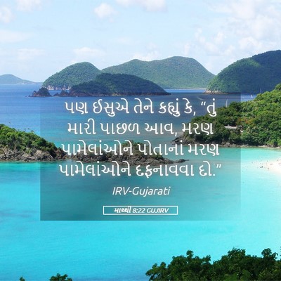 Picture 05 - માથ્થી 8:22 GUJIRV - પણ ઈસુએ તેને - Bible Verse Picture