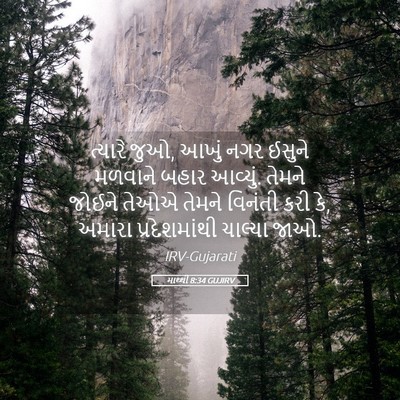 Picture 05 - માથ્થી 8:34 GUJIRV - ત્યારે જુઓ, આખું - Bible Verse Picture