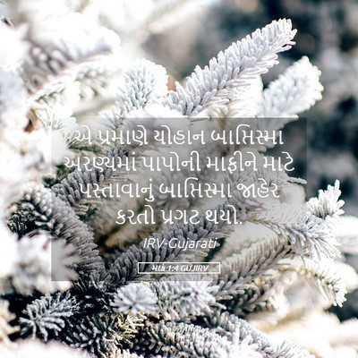 Picture 05 - માર્ક 1:4 GUJIRV - એ પ્રમાણે યોહાન - Bible Verse Picture