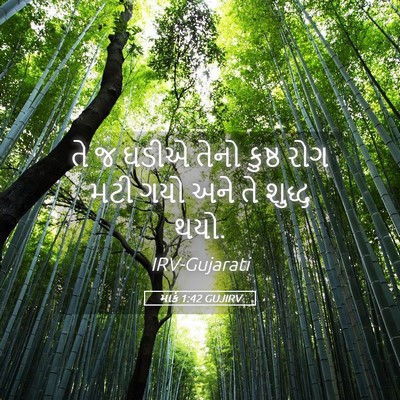 Picture 05 - માર્ક 1:42 GUJIRV - તે જ ઘડીએ તેનો - Bible Verse Picture