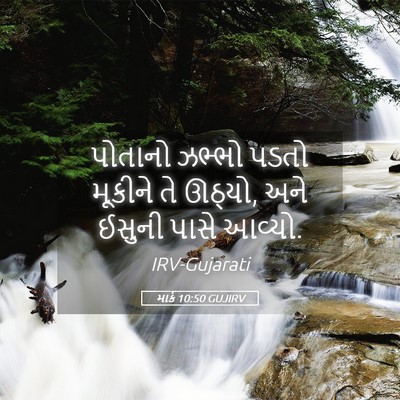 Picture 05 - માર્ક 10:50 GUJIRV - પોતાનો ઝભ્ભો પડતો - Bible Verse Picture