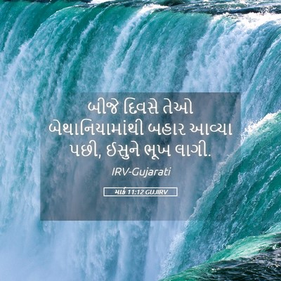 Picture 05 - માર્ક 11:12 GUJIRV - બીજે દિવસે તેઓ - Bible Verse Picture