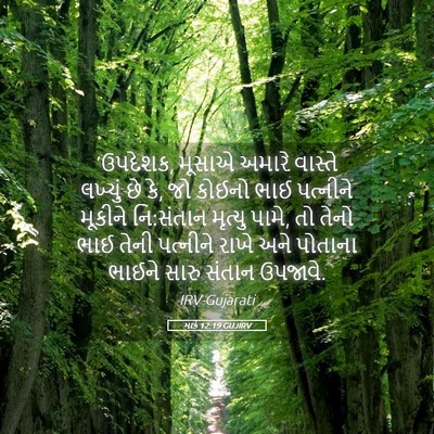 Picture 05 - માર્ક 12:19 GUJIRV - ‘ઉપદેશક, મૂસાએ - Bible Verse Picture