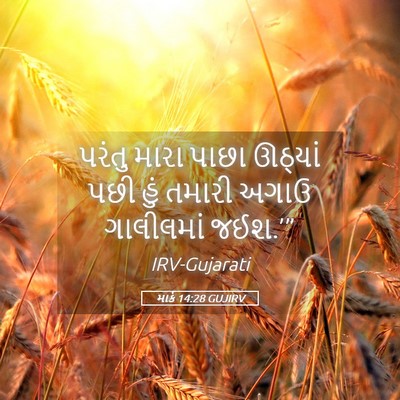 Picture 05 - માર્ક 14:28 GUJIRV - પરંતુ મારા પાછા - Bible Verse Picture