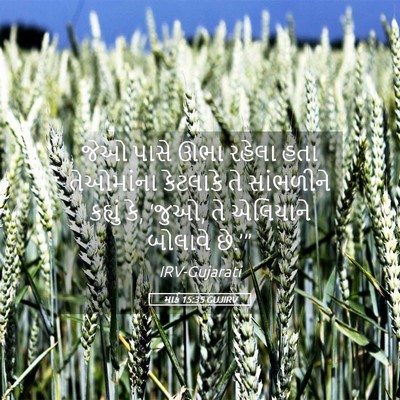 Picture 05 - માર્ક 15:35 GUJIRV - જેઓ પાસે ઊભા રહેલા - Bible Verse Picture