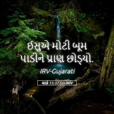 Picture 05 - માર્ક 15:37 GUJIRV - ઈસુએ મોટી બૂમ - Bible Verse Picture