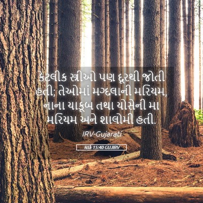 Picture 05 - માર્ક 15:40 GUJIRV - કેટલીક સ્ત્રીઓ પણ - Bible Verse Picture