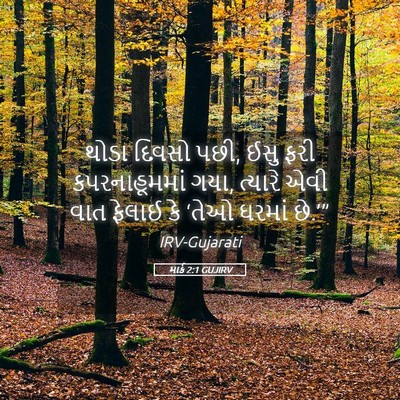 Picture 05 - માર્ક 2:1 GUJIRV - થોડા દિવસો પછી, ઈસુ - Bible Verse Picture
