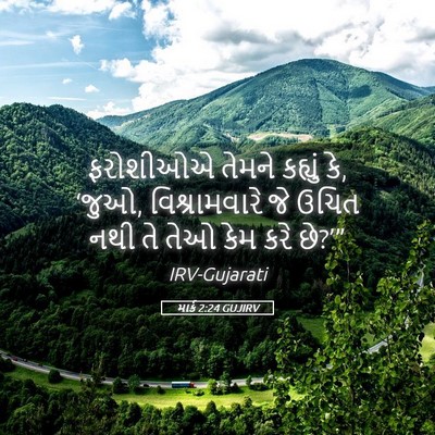 Picture 05 - માર્ક 2:24 GUJIRV - ફરોશીઓએ તેમને - Bible Verse Picture