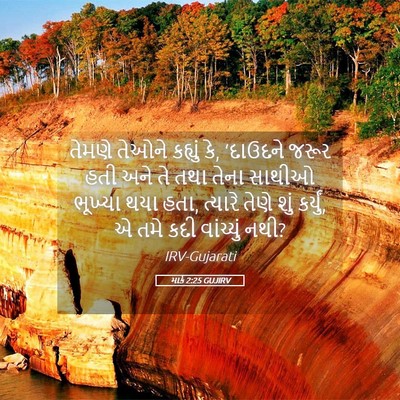 Picture 05 - માર્ક 2:25 GUJIRV - તેમણે તેઓને - Bible Verse Picture