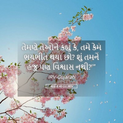 Picture 05 - માર્ક 4:40 GUJIRV - તેમણે તેઓને - Bible Verse Picture