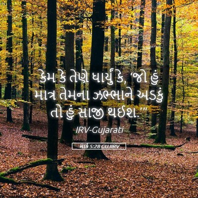Picture 05 - માર્ક 5:28 GUJIRV - કેમ કે તેણે - Bible Verse Picture