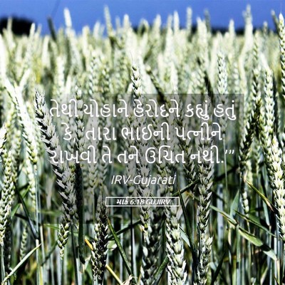 Picture 05 - માર્ક 6:18 GUJIRV - તેથી યોહાને - Bible Verse Picture