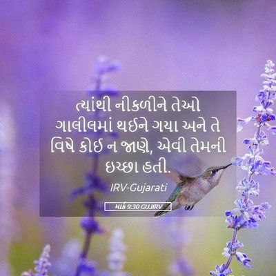Picture 05 - માર્ક 9:30 GUJIRV - ત્યાંથી નીકળીને - Bible Verse Picture