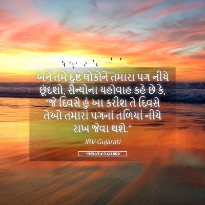 Picture 05 - માલાખી 4:3 GUJIRV - અને તમે દુષ્ટ - Bible Verse Picture