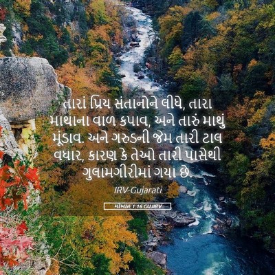 Picture 05 - મીખાહ 1:16 GUJIRV - તારાં પ્રિય - Bible Verse Picture