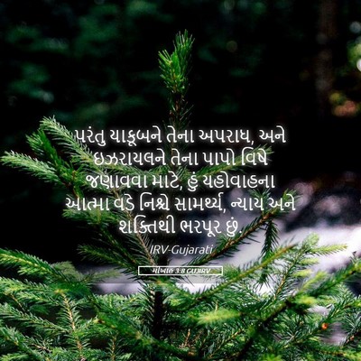 Picture 05 - મીખાહ 3:8 GUJIRV - પરંતુ યાકૂબને - Bible Verse Picture