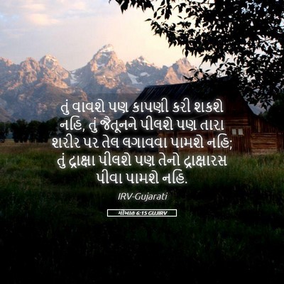 Picture 05 - મીખાહ 6:15 GUJIRV - તું વાવશે પણ કાપણી - Bible Verse Picture
