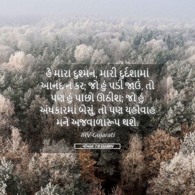 Picture 05 - મીખાહ 7:8 GUJIRV - હે મારા દુશ્મન, - Bible Verse Picture