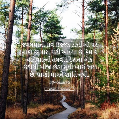 Picture 05 - યર્મિયા 12:12 GUJIRV - જંગલમાની સર્વ - Bible Verse Picture