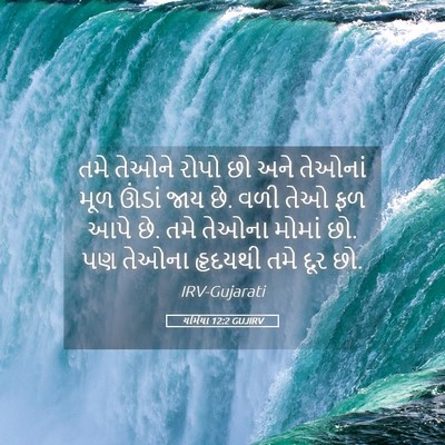 Picture 05 - યર્મિયા 12:2 GUJIRV - તમે તેઓને રોપો છો - Bible Verse Picture