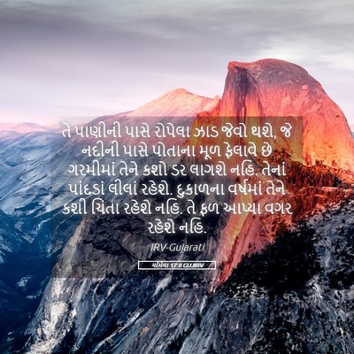 Picture 05 - યર્મિયા 17:8 GUJIRV - તે પાણીની પાસે - Bible Verse Picture