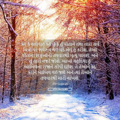 Picture 05 - યર્મિયા 20:4 GUJIRV - કેમ કે યહોવાહ કહે - Bible Verse Picture