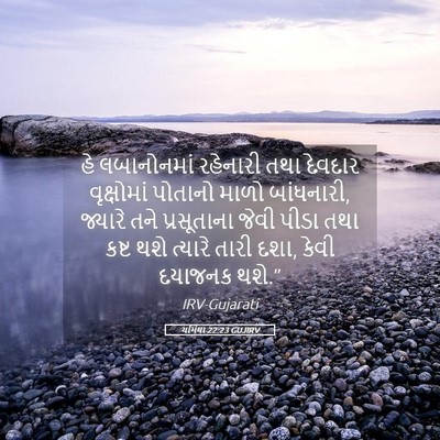 Picture 05 - યર્મિયા 22:23 GUJIRV - હે લબાનોનમાં - Bible Verse Picture
