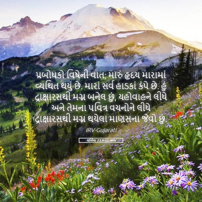 Picture 05 - યર્મિયા 23:9 GUJIRV - પ્રબોધકો વિષેની - Bible Verse Picture