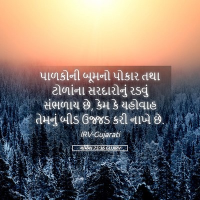 Picture 05 - યર્મિયા 25:36 GUJIRV - પાળકોની બૂમનો - Bible Verse Picture