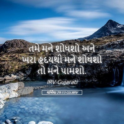 Picture 05 - યર્મિયા 29:13 GUJIRV - તમે મને શોધશો અને - Bible Verse Picture