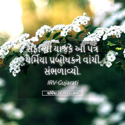 Picture 05 - યર્મિયા 29:29 GUJIRV - સફાન્યા યાજકે આ - Bible Verse Picture