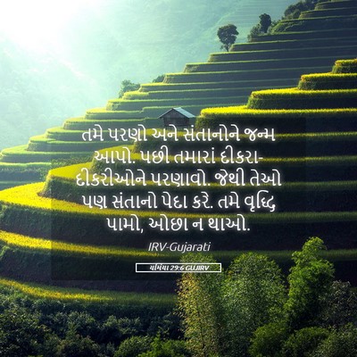 Picture 05 - યર્મિયા 29:6 GUJIRV - તમે પરણો અને - Bible Verse Picture