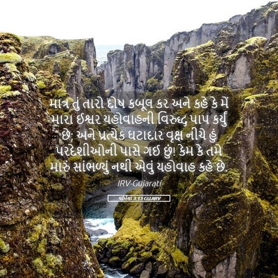 Picture 05 - યર્મિયા 3:13 GUJIRV - માત્ર તું તારો દોષ - Bible Verse Picture