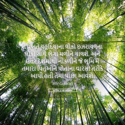 Picture 05 - યર્મિયા 3:18 GUJIRV - તે વખતે યહૂદિયાના - Bible Verse Picture