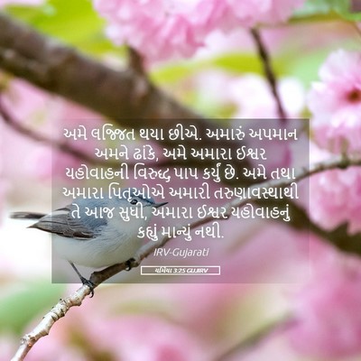 Picture 05 - યર્મિયા 3:25 GUJIRV - અમે લજ્જિત થયા છીએ. - Bible Verse Picture