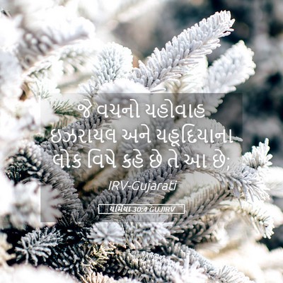 Picture 05 - યર્મિયા 30:4 GUJIRV - જે વચનો યહોવાહ - Bible Verse Picture