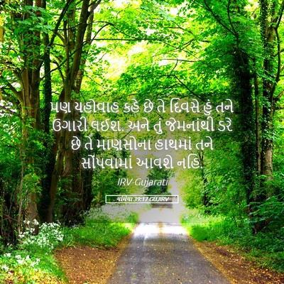 Picture 05 - યર્મિયા 39:17 GUJIRV - પણ યહોવાહ કહે છે તે - Bible Verse Picture