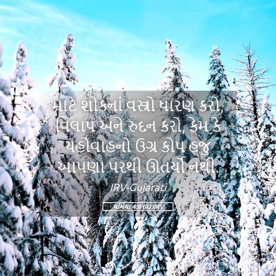 Picture 05 - યર્મિયા 4:8 GUJIRV - માટે શોકનાં - Bible Verse Picture