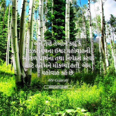 Picture 05 - યર્મિયા 42:9 GUJIRV - અને તેણે તેઓને - Bible Verse Picture
