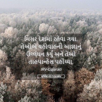 Picture 05 - યર્મિયા 43:7 GUJIRV - મિસર દેશમાં રહેવા - Bible Verse Picture