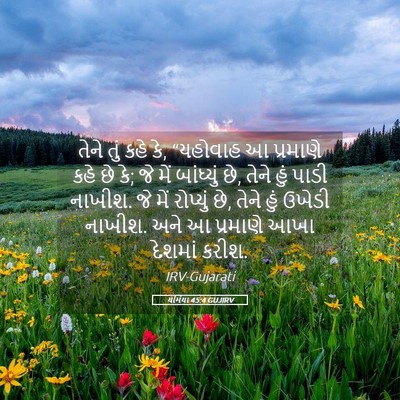 Picture 05 - યર્મિયા 45:4 GUJIRV - તેને તું કહે કે, - Bible Verse Picture
