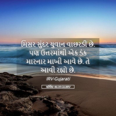 Picture 05 - યર્મિયા 46:20 GUJIRV - મિસર સુંદર યુવાન - Bible Verse Picture