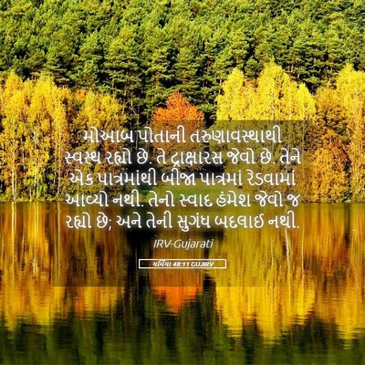 Picture 05 - યર્મિયા 48:11 GUJIRV - મોઆબ પોતાની - Bible Verse Picture